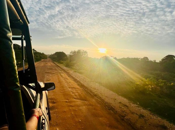 Jongerenvakantie Sri Lanka